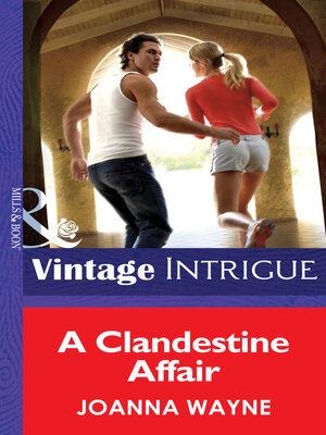 cover image of A Clandestine Affair